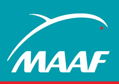 recherche et detection de fuite eau et gaz maaf