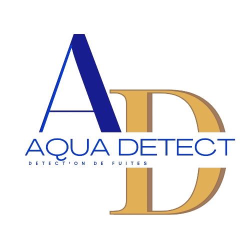 recherche de fuite pau biarritz